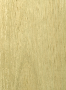 Rubberwood (Hevea brasiliensis)