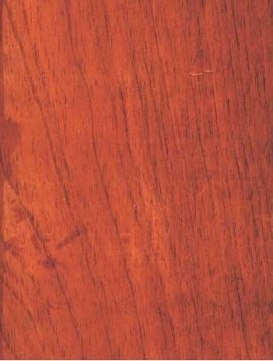 Surian Wangi (Cedrela Odorata)